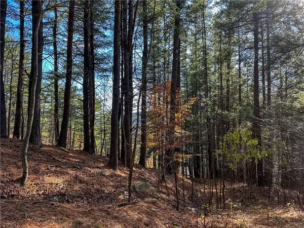 $198,900 | 119 Canisteo Ny 14823, Cameron, NY 14819