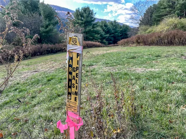 $198,900 | 119 Canisteo Ny 14823, Cameron, NY 14819