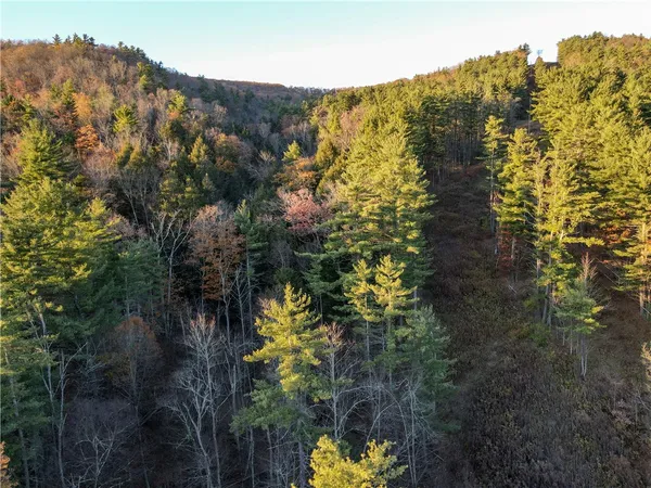 $198,900 | 119 Canisteo Ny 14823, Cameron, NY 14819
