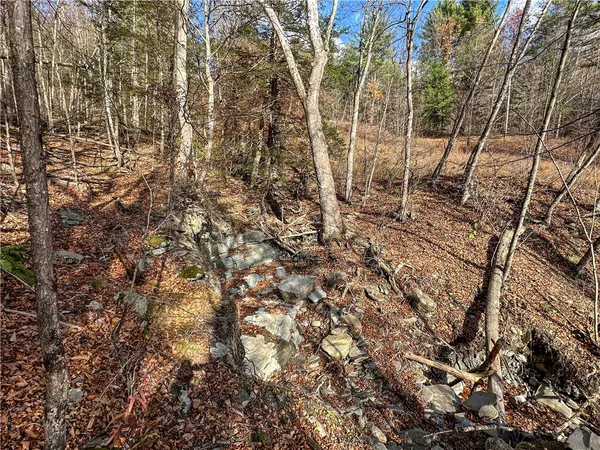 $198,900 | 119 Canisteo Ny 14823, Cameron, NY 14819