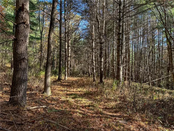 $198,900 | 119 Canisteo Ny 14823, Cameron, NY 14819