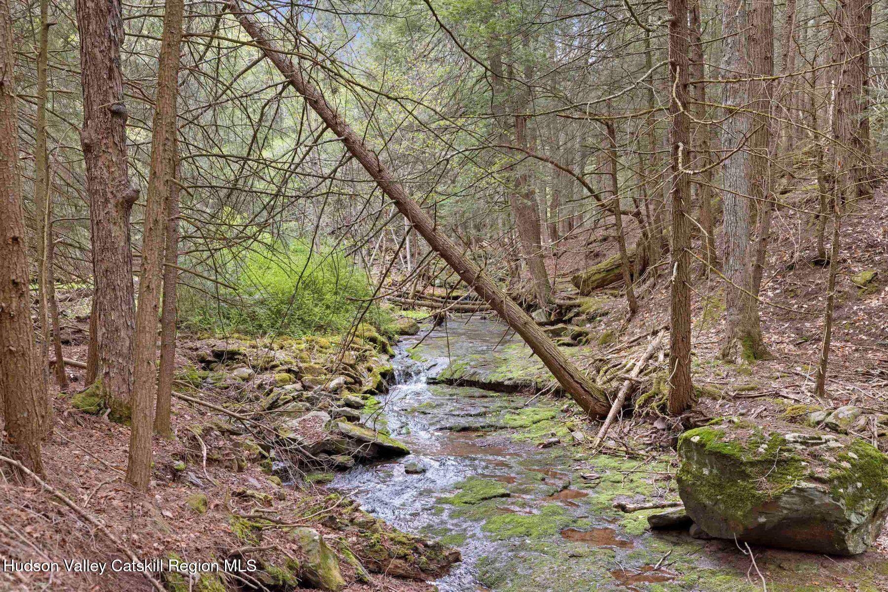 27 Anchor Camp Road Windham, NY 12496 - Photo 71 of 86 photo_online_033