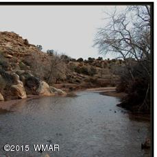 Lot 18 Brangus Road, Unit CCR 1 Heber, AZ 85928 - Photo 1 of 10