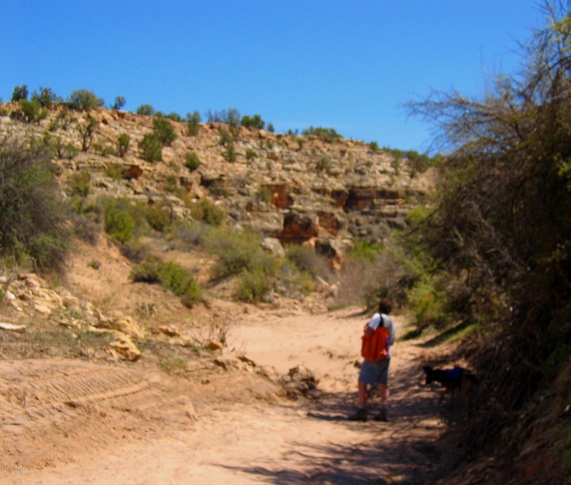 Lot 18 Brangus Road, Unit CCR 1 Heber, AZ 85928 - Photo 3 of 10