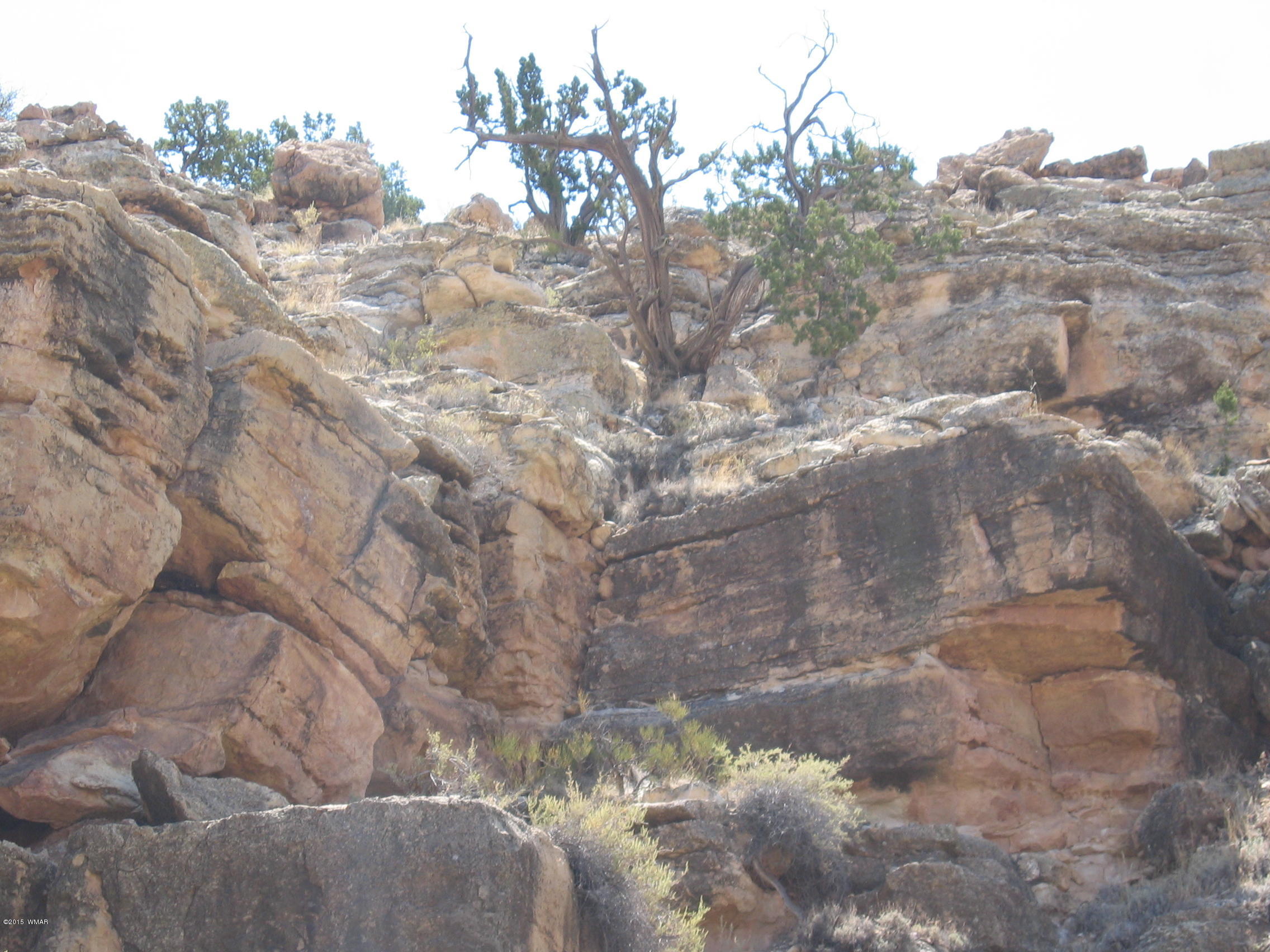 Lot 18 Brangus Road, Unit CCR 1 Heber, AZ 85928 - Photo 4 of 10