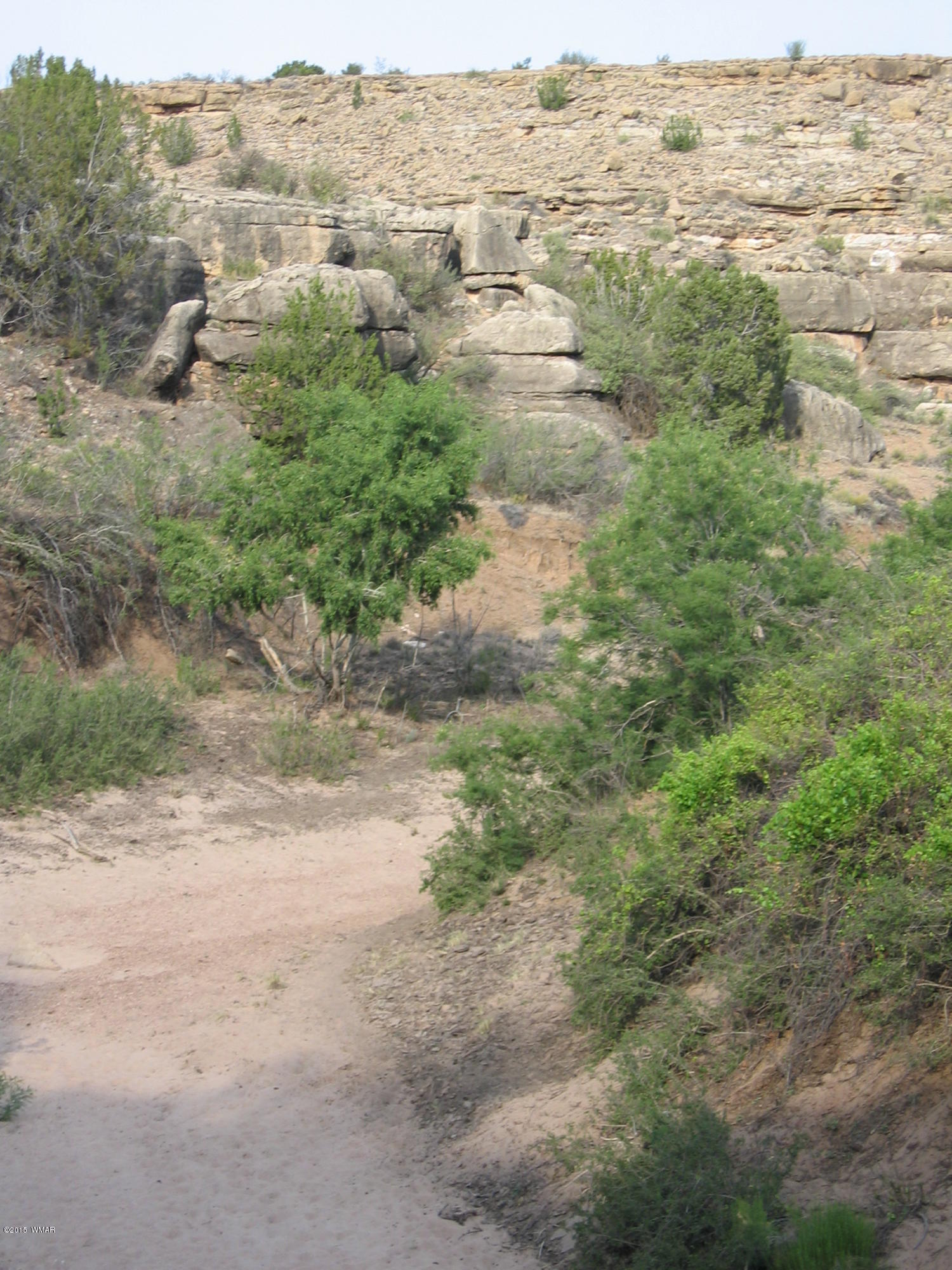 Lot 18 Brangus Road, Unit CCR 1 Heber, AZ 85928 - Photo 5 of 10
