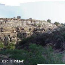 Lot 18 Brangus Road, Unit CCR 1 Heber, AZ 85928 - Photo 6 of 10