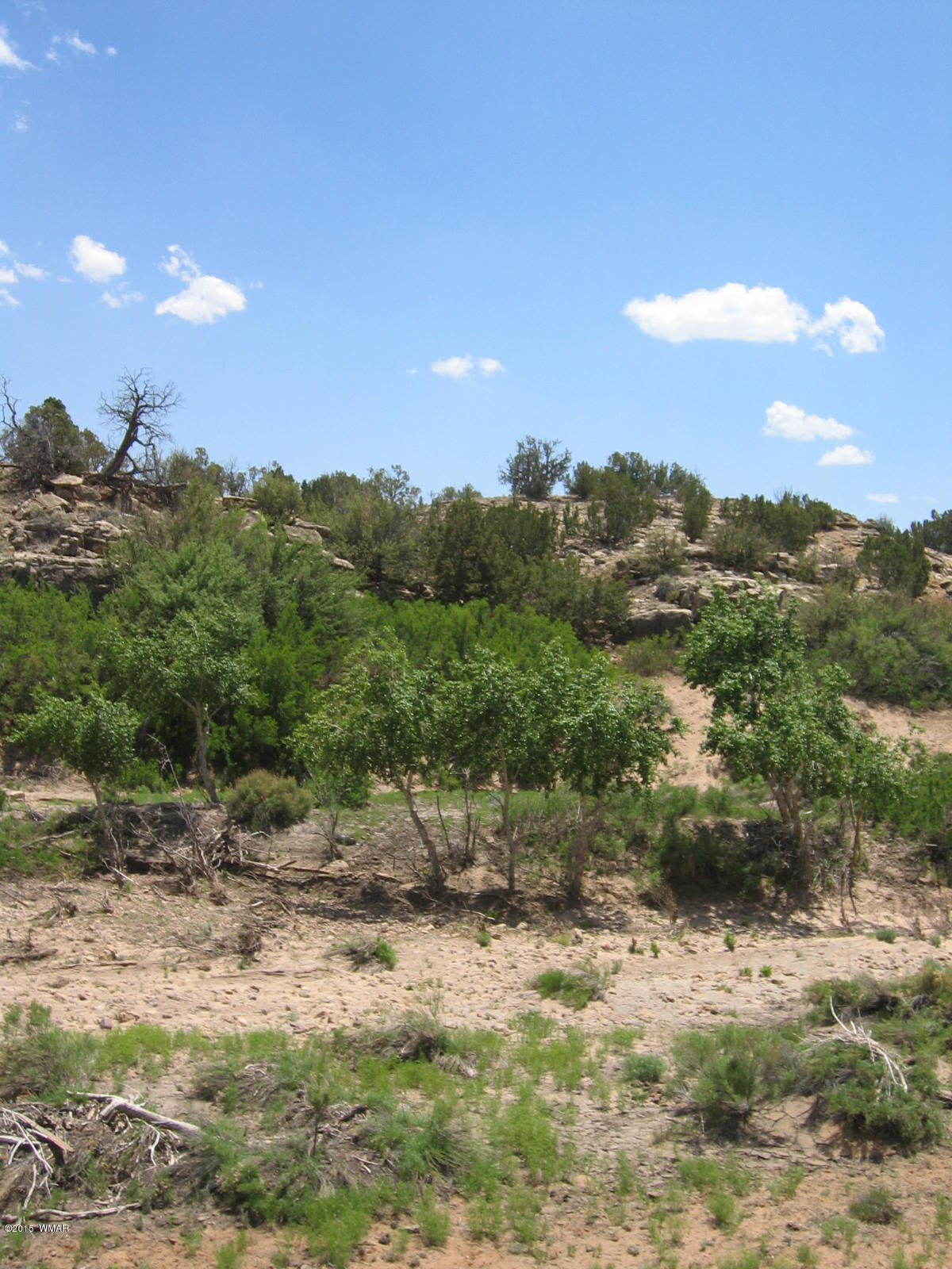 Lot 18 Brangus Road, Unit CCR 1 Heber, AZ 85928 - Photo 8 of 10