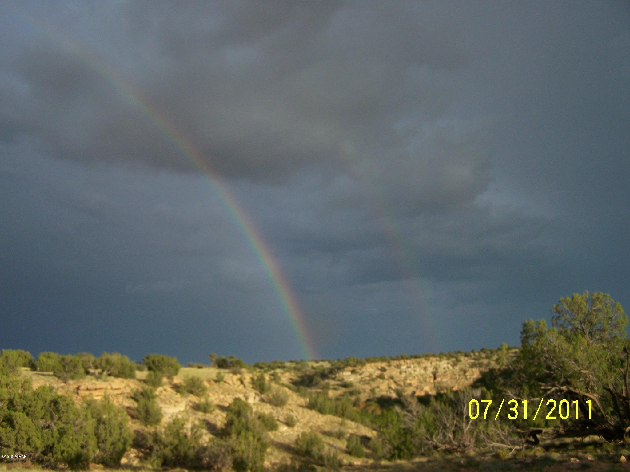 Lot 18 Brangus Road, Unit CCR 1 Heber, AZ 85928 - Photo 9 of 10