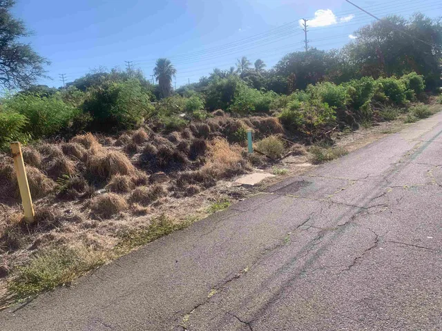 a view of a street with a trees