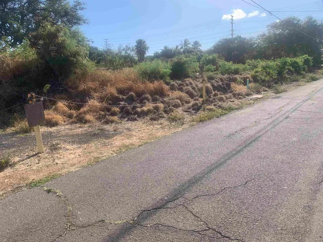 a view of a road with a yard