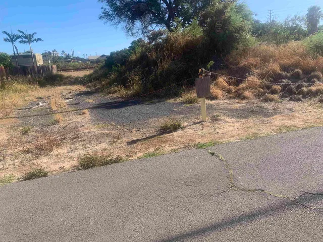 a view of a yard with a tree