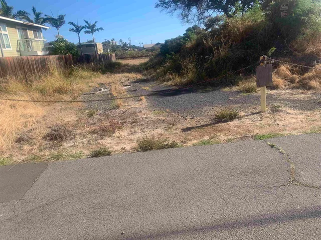 a view of a yard with a tree