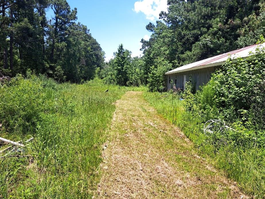 6693 County Road 32 Fairhope, AL 36532 - Photo 3 of 9