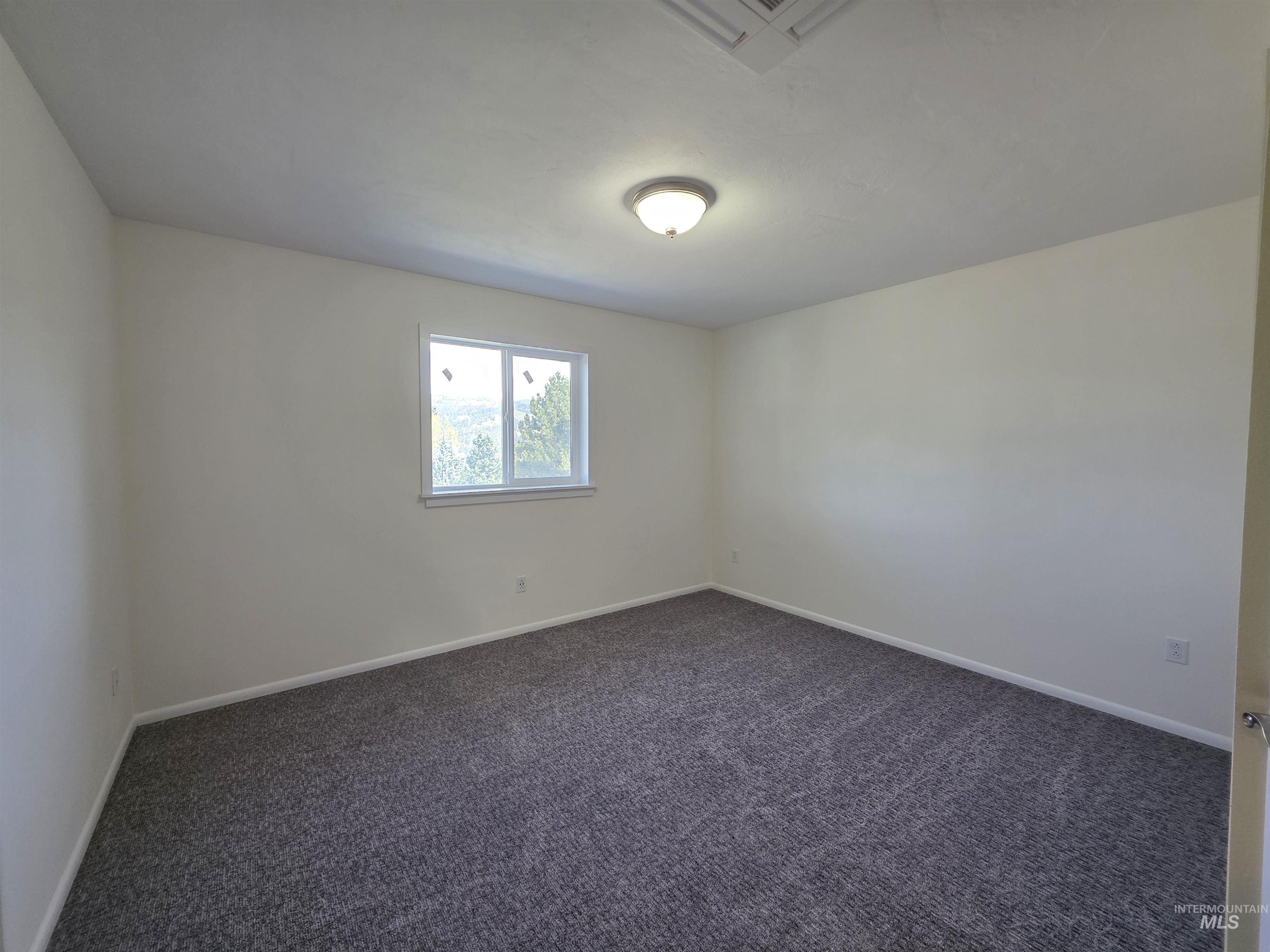 107 Pine Road Kamiah, ID 83536 - Photo 37 of 41 Spacious room featuring neutral wall tones, gray carpeting, and a large window with natural light