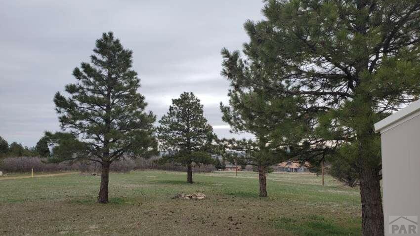 8066 Oak Drive Rye, CO 81069 - Photo 6 of 12 Gallery Image 6