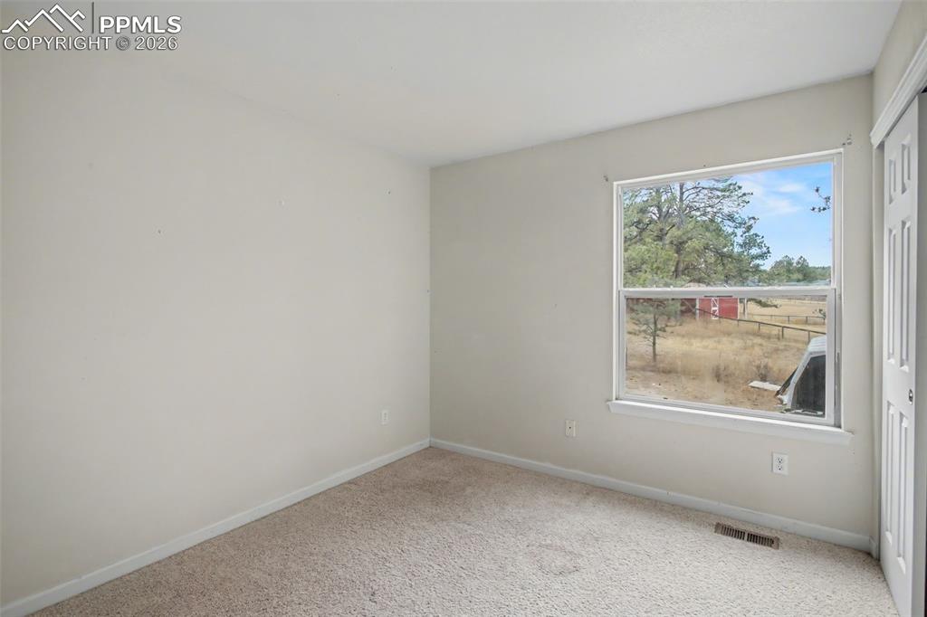 4944 Antelope Trail Elbert, CO 80106 - Photo 21 of 49 Empty room featuring baseboards and carpet flooring