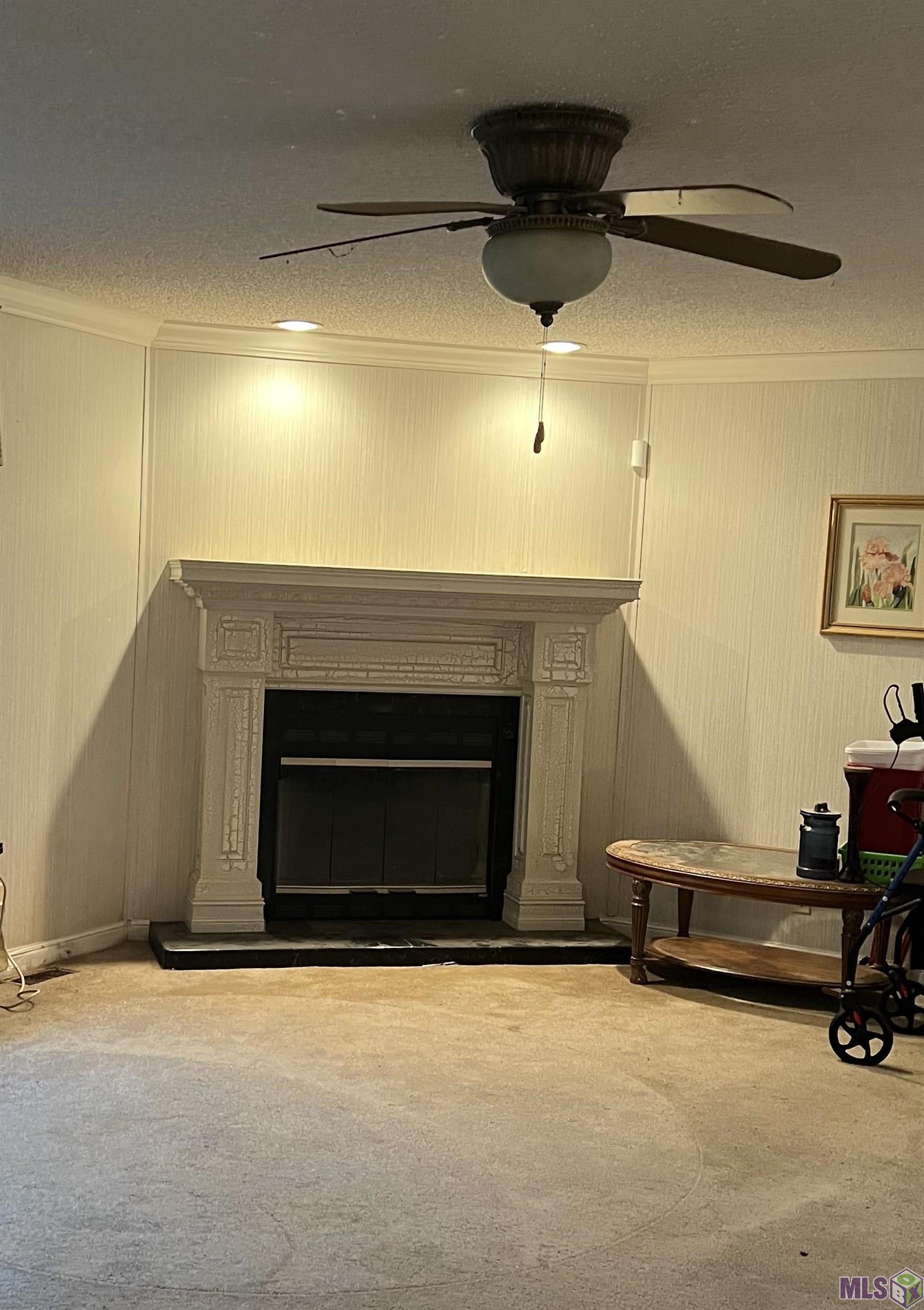 476 Lemon B Road Slaughter, LA 70777 - Photo 3 of 21