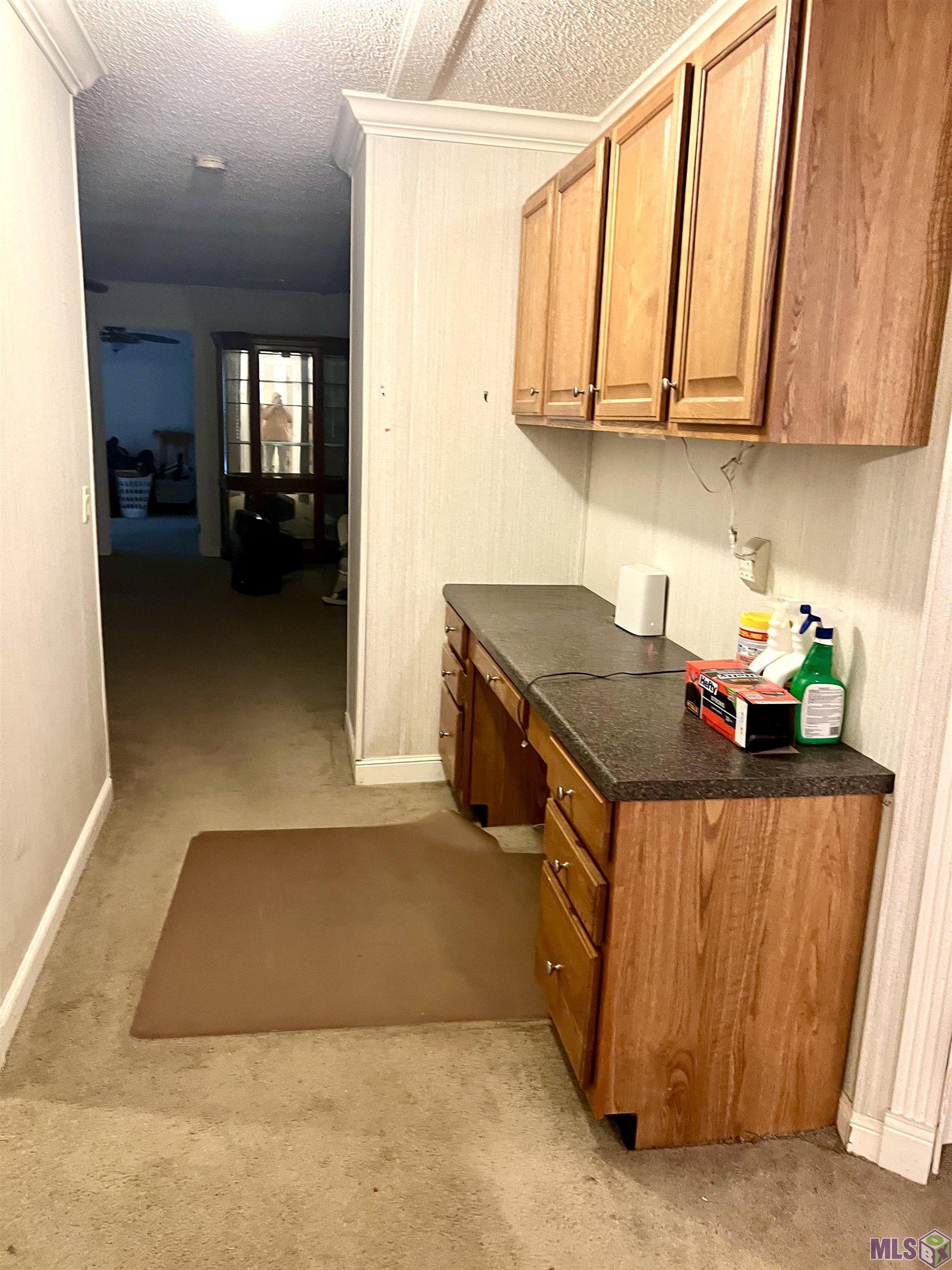 476 Lemon B Road Slaughter, LA 70777 - Photo 4 of 21