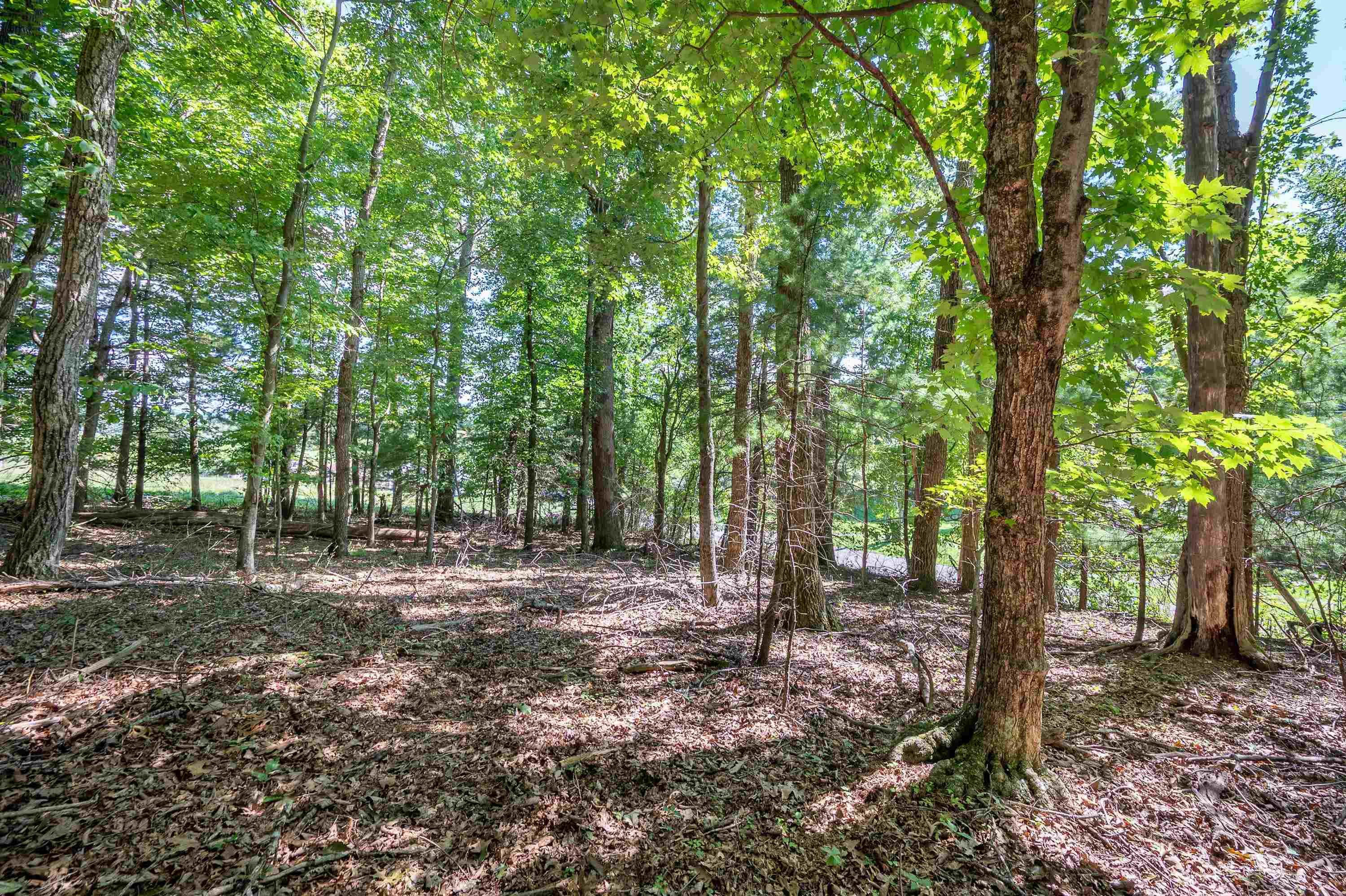 2264 Sunny Ridge Road Northeast Check, VA 24072 - Photo 1 of 6 Gallery Image 1