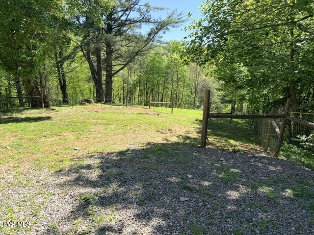 335 Bear Cage Road Roan Mountain, TN 37687 - Photo 18 of 68 IMG_1082