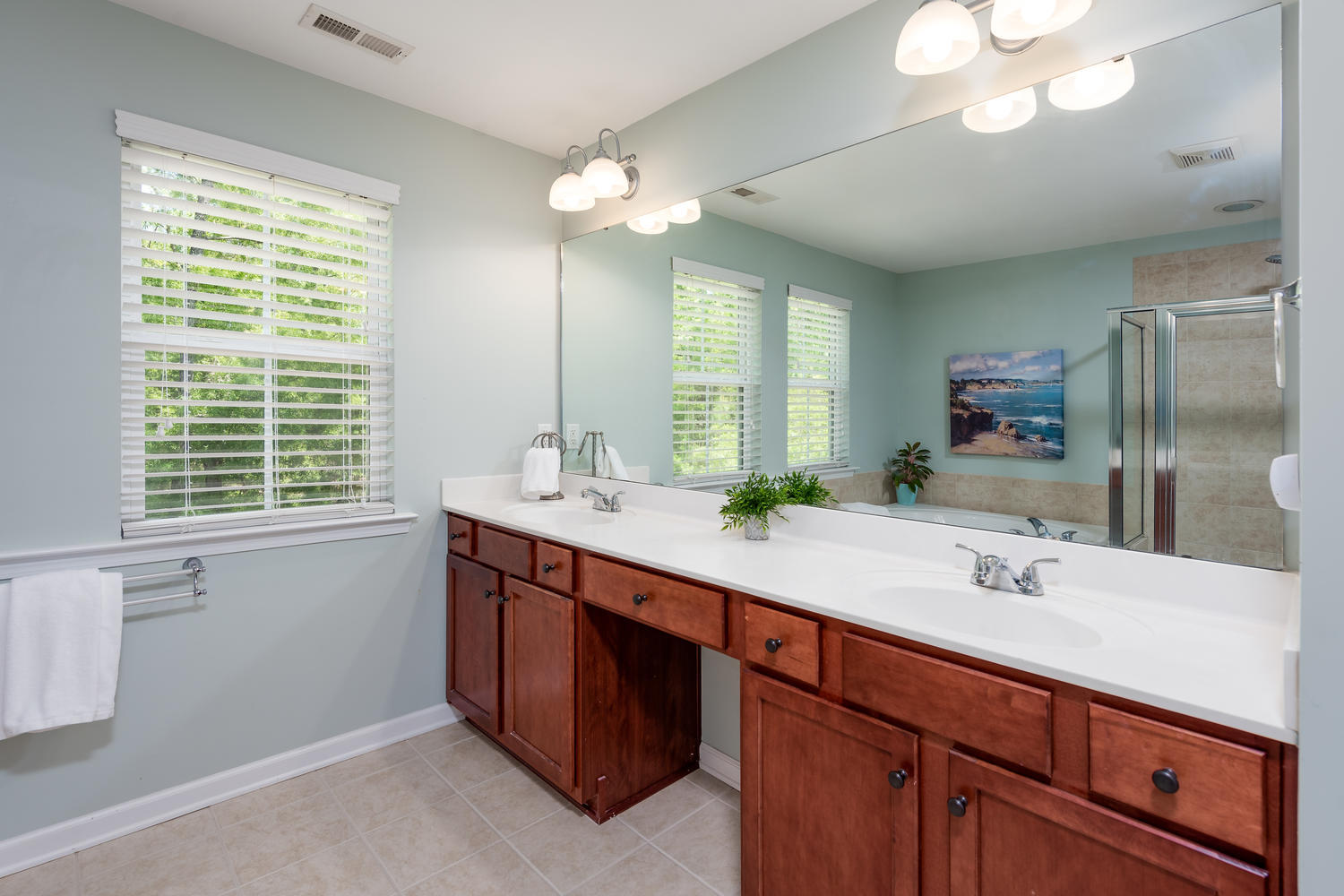 1871 Hall Point Road Mount Pleasant, SC 29466 - Photo 29 of 48 Double sinks and large vanity