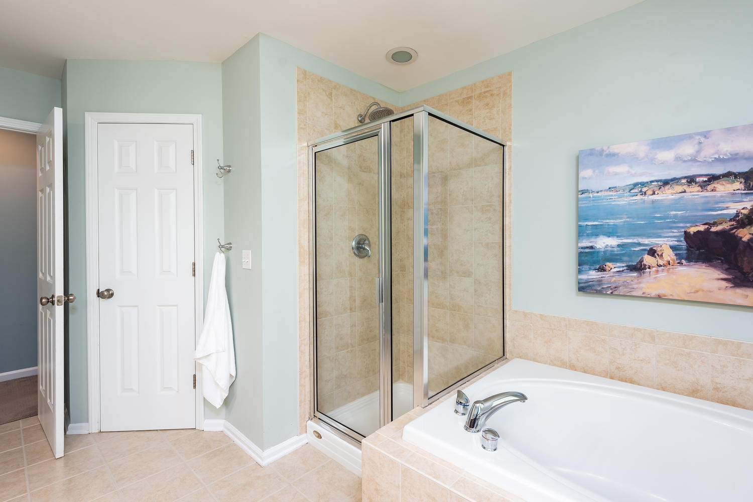 1871 Hall Point Road Mount Pleasant, SC 29466 - Photo 30 of 48 Separate shower and soaking tub