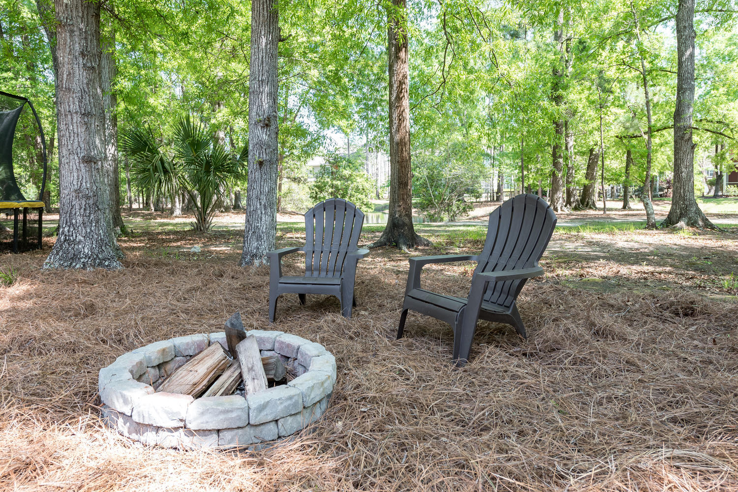 1871 Hall Point Road Mount Pleasant, SC 29466 - Photo 42 of 48 Private wooded backyard