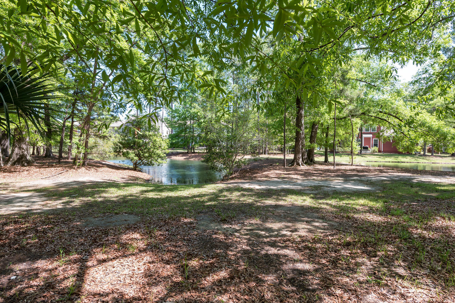 1871 Hall Point Road Mount Pleasant, SC 29466 - Photo 43 of 48 Wooded with pond views