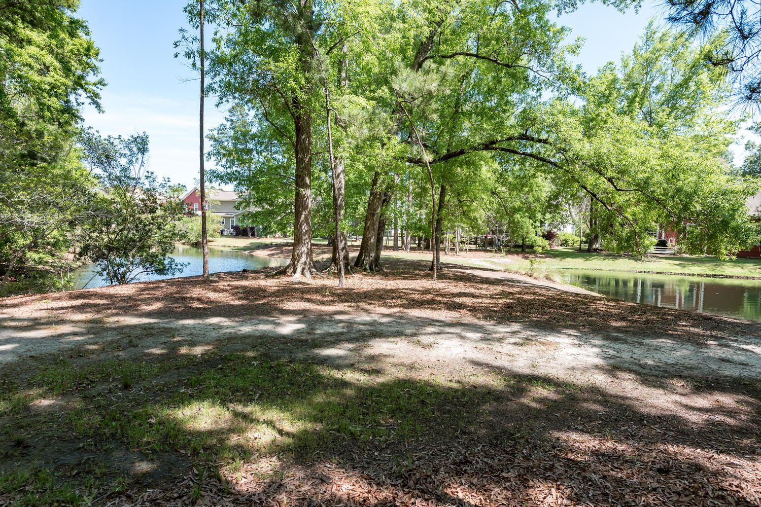 1871 Hall Point Road Mount Pleasant, SC 29466 - Photo 44 of 48 Wooded with pond views
