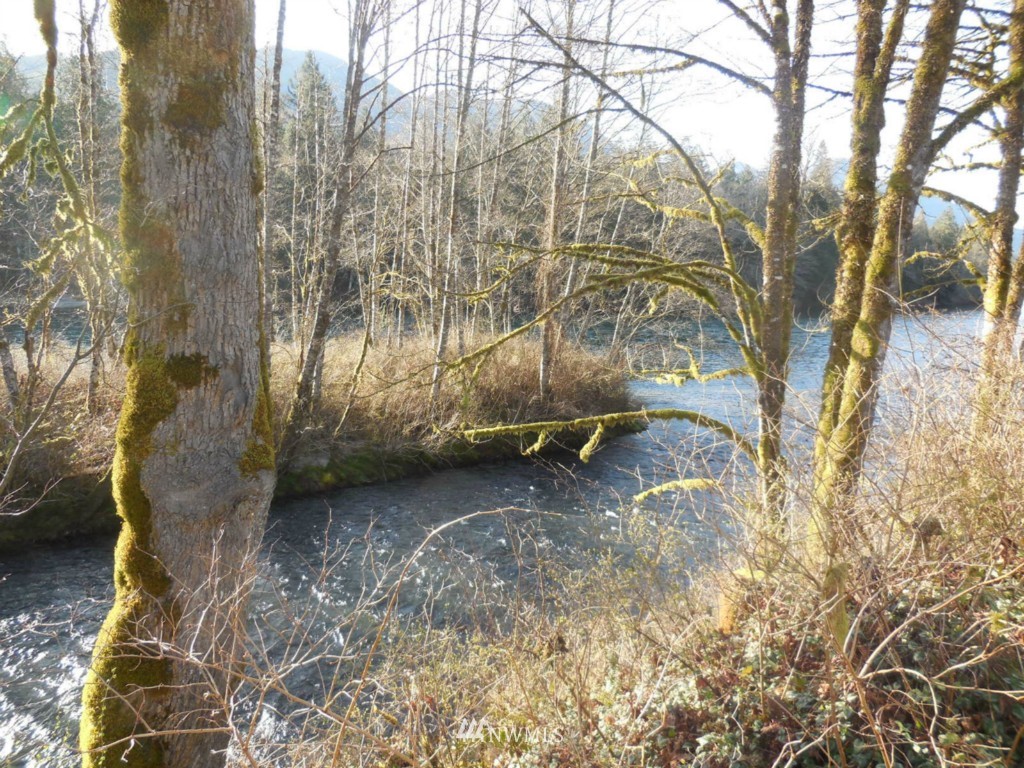 59076 State Rte 20 Marblemount, WA 98267 - Photo 16 of 22 Gallery Image 16