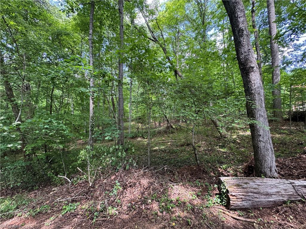 5504 Folkstone Road Pfafftown, NC 27040 - Photo 7 of 12 View from wooded area