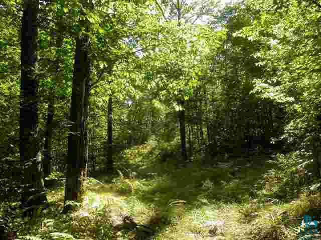 14385 Mcnaught Road Cable, WI 54821 - Photo 11 of 14 Gallery Image 11