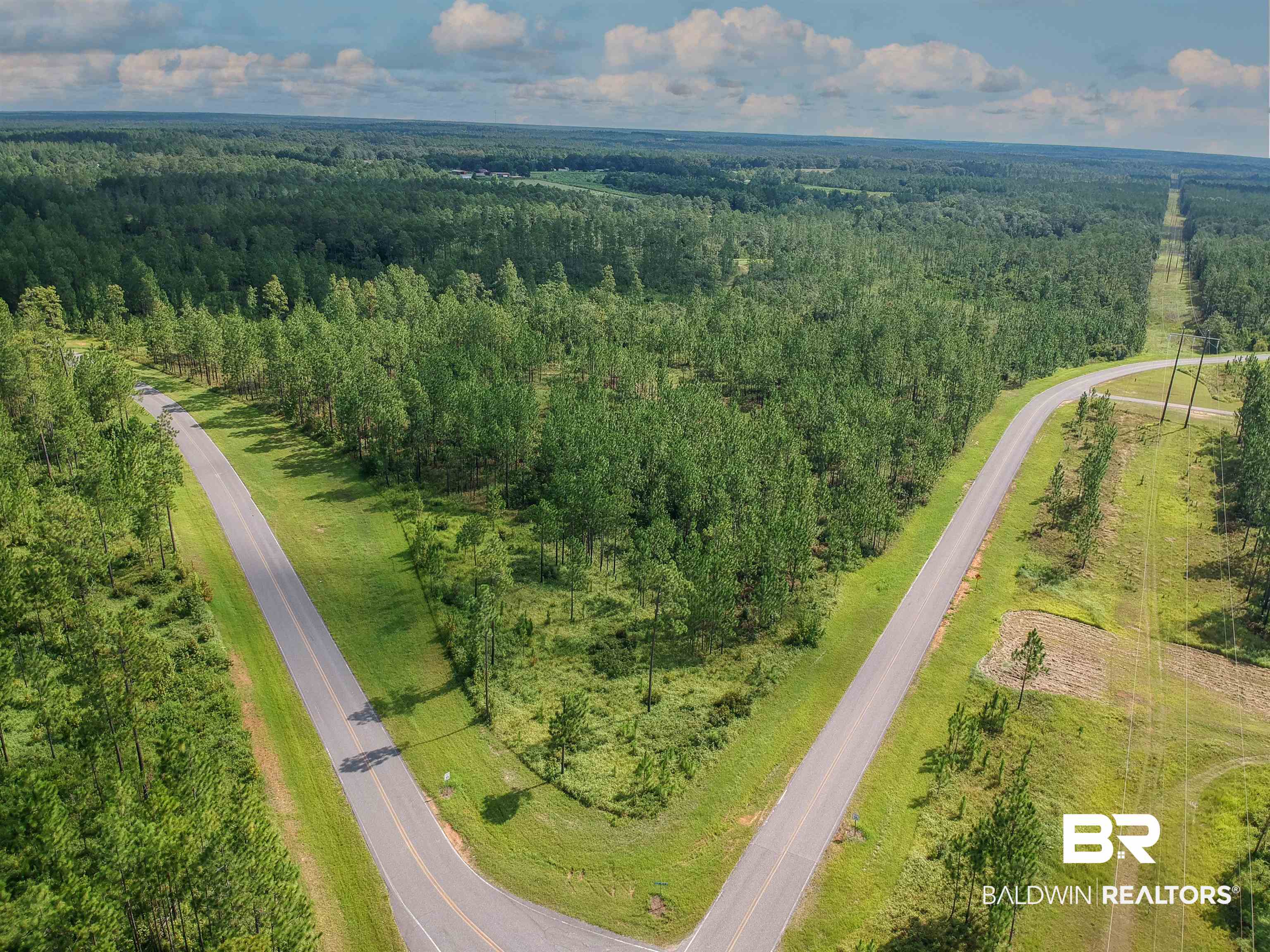 0 Robert White Road Perdido, AL 36562 - Photo 5 of 6