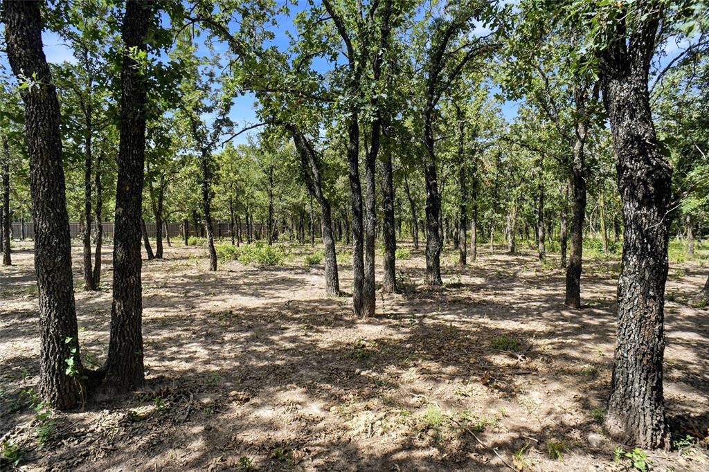 211 Spring Valley Road Paradise, TX 76073 - Photo 14 of 21