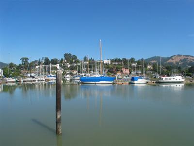 4 Point San Pedro Road, Unit 6 San Rafael, CA 94901 - Photo 11 of 11 a view of ocean view