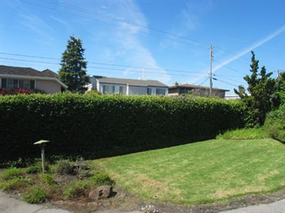 4 Point San Pedro Road, Unit 6 San Rafael, CA 94901 - Photo 2 of 11 a backyard of a house with lots of green space