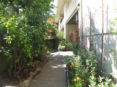 4 Point San Pedro Road, Unit 6 San Rafael, CA 94901 - Photo 8 of 11 a backyard of a house with lots of green space