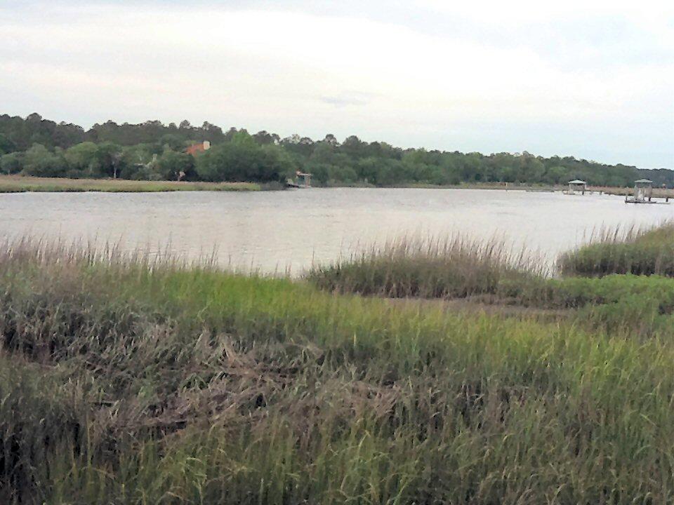 4552 Smoak Road Meggett, SC 29449 - Photo 12 of 13 4552 smoak rd creek view