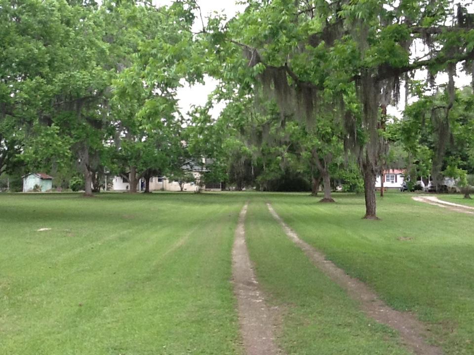4552 Smoak Road Meggett, SC 29449 - Photo 3 of 13 4552 smoak rd drive way
