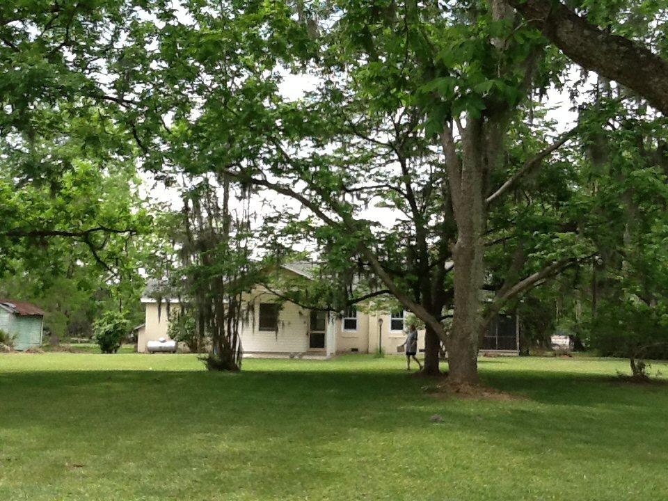 4552 Smoak Road Meggett, SC 29449 - Photo 4 of 13 4552 smoak rd frt yard 4