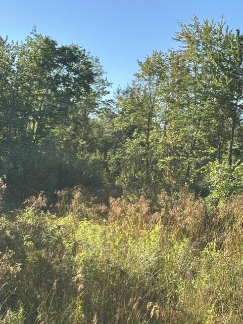 Map2-lot30 Weeman Road Detroit, ME 04929 - Photo 1 of 4 Detroit 4