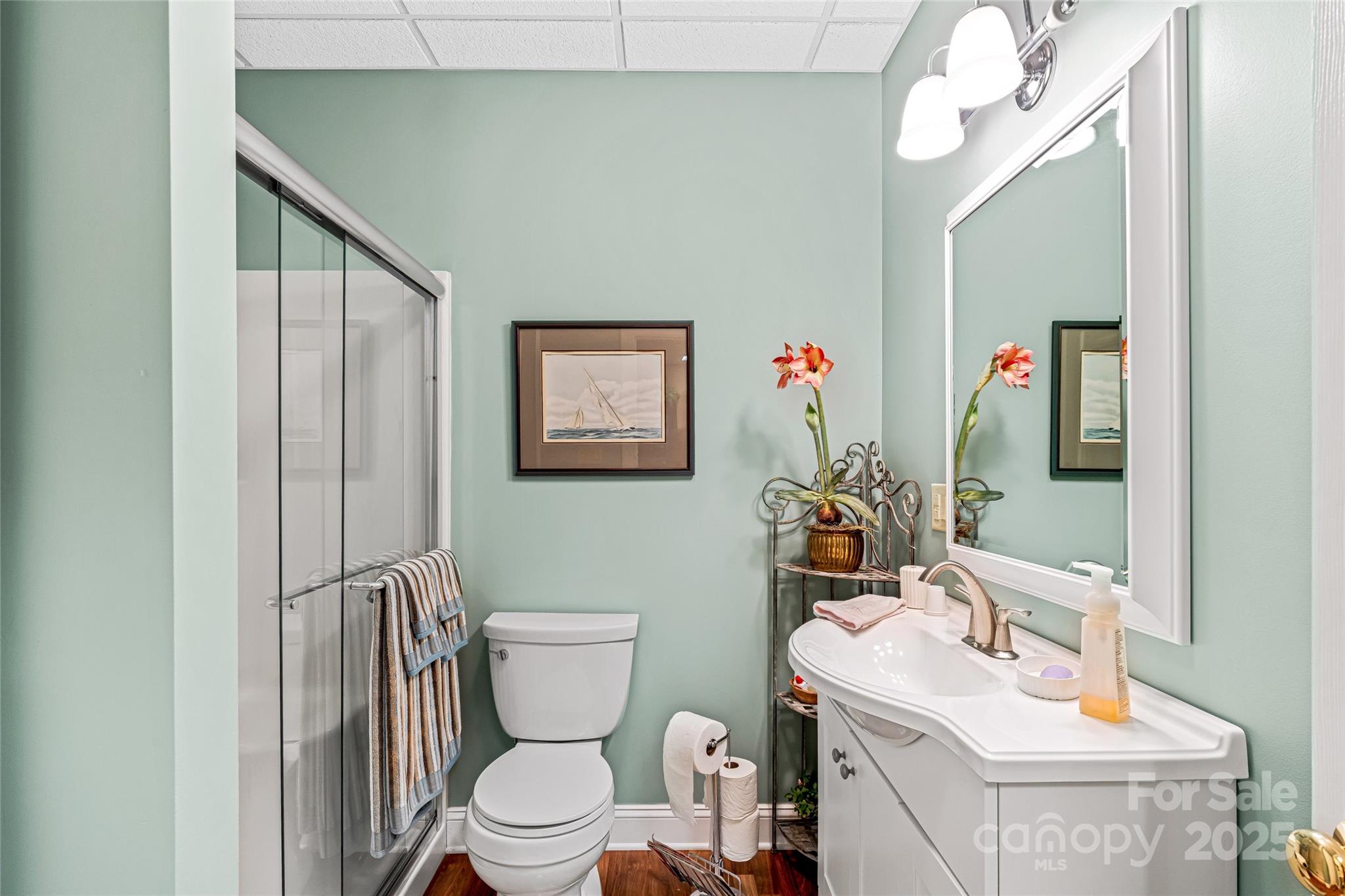 842 Rickel Drive Hendersonville, NC 28739 - Photo 37 of 48 a bathroom with a toilet a sink and mirror