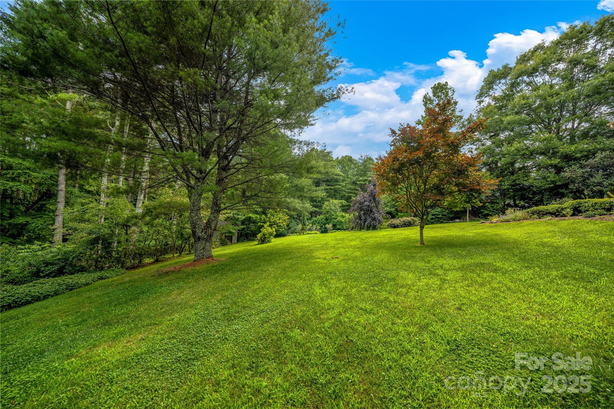 842 Rickel Drive Hendersonville, NC 28739 - Photo 43 of 48 a view of a trees in a yard