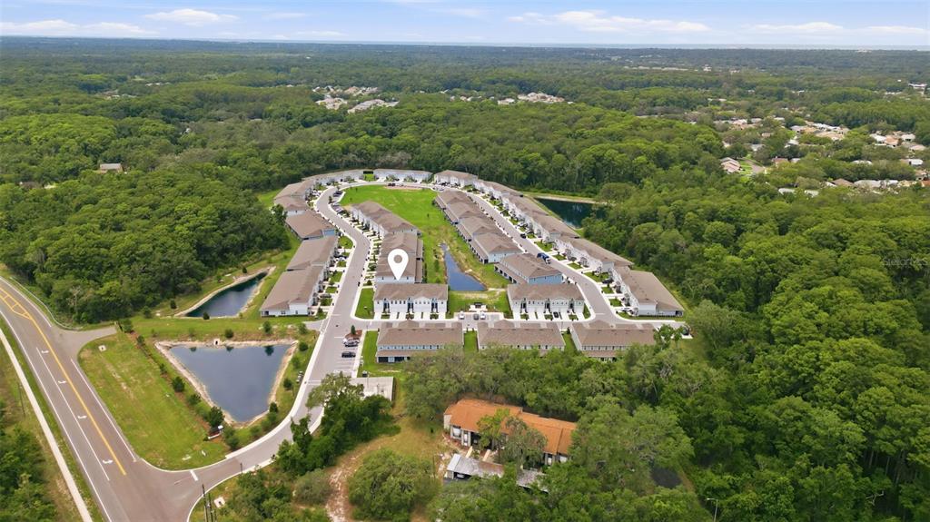 11385 Spectacled Drive New Port Richey, FL 34654 - Photo 26 of 27
