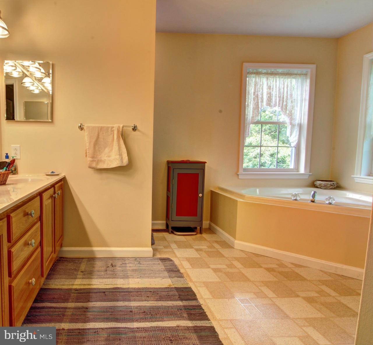 39555 Rodeffer Road Lovettsville, VA 20180 - Photo 19 of 30 Bath (Master)