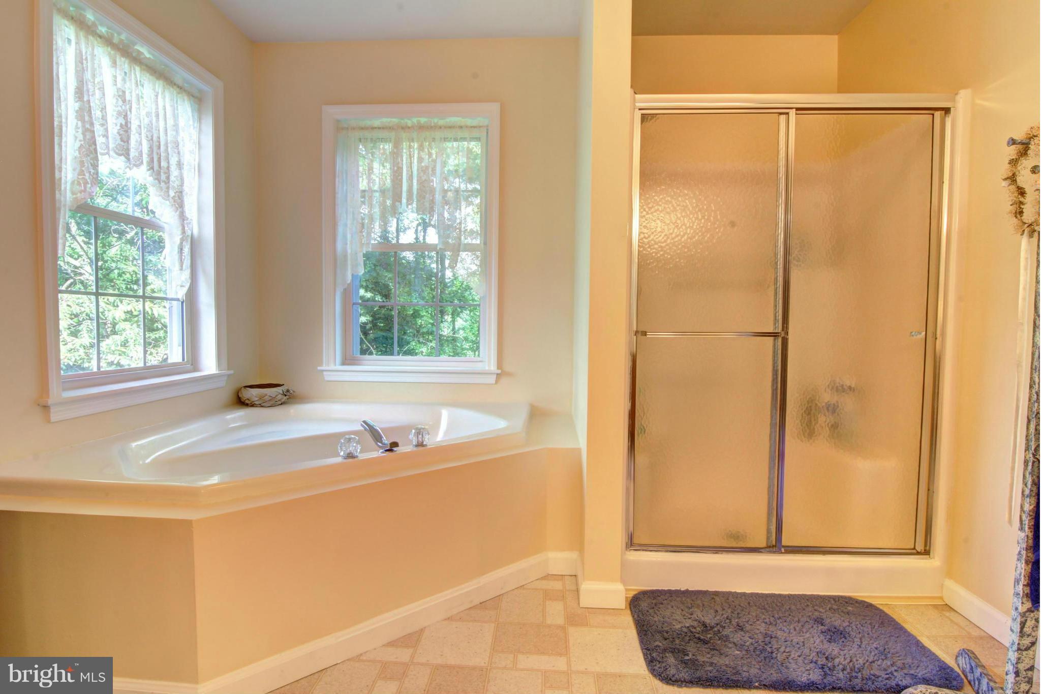 39555 Rodeffer Road Lovettsville, VA 20180 - Photo 20 of 30 Bath (Master)
