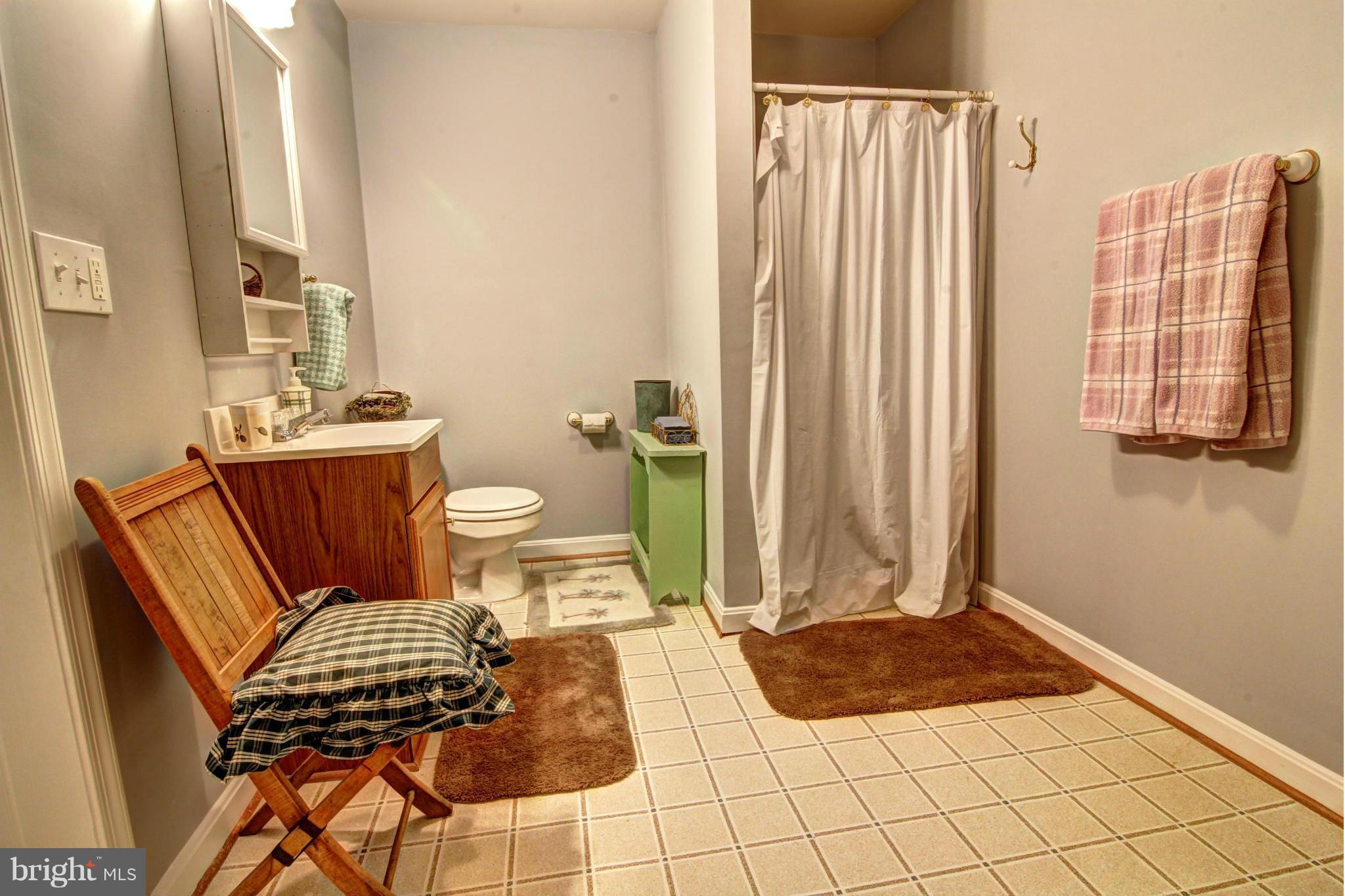 39555 Rodeffer Road Lovettsville, VA 20180 - Photo 29 of 30 Basement Bath