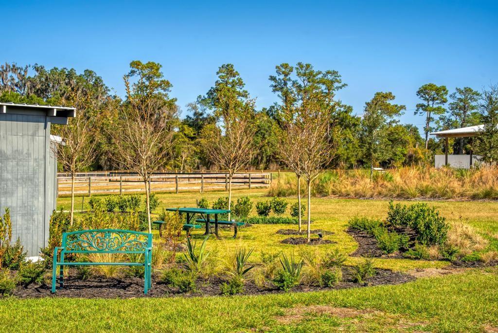 15305 Northwest 112th Place Road Morriston, FL 32668 - Photo 35 of 95 Gallery Image 35