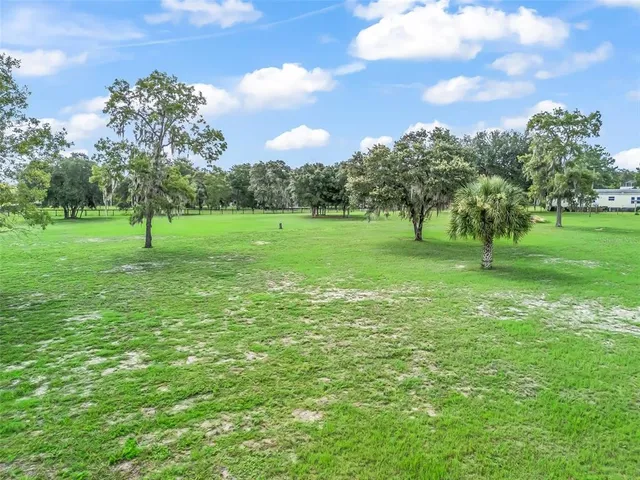 a view of a yard with plants